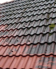 Démoussage de toit 95 avec les artisans de Zepp Jean